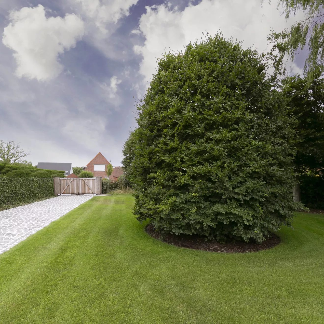 Villatuin te Oostduinkerke met oprit in porfier, uitgewassen beton en kleurrijke borders (2) -  - Tuinaanleg