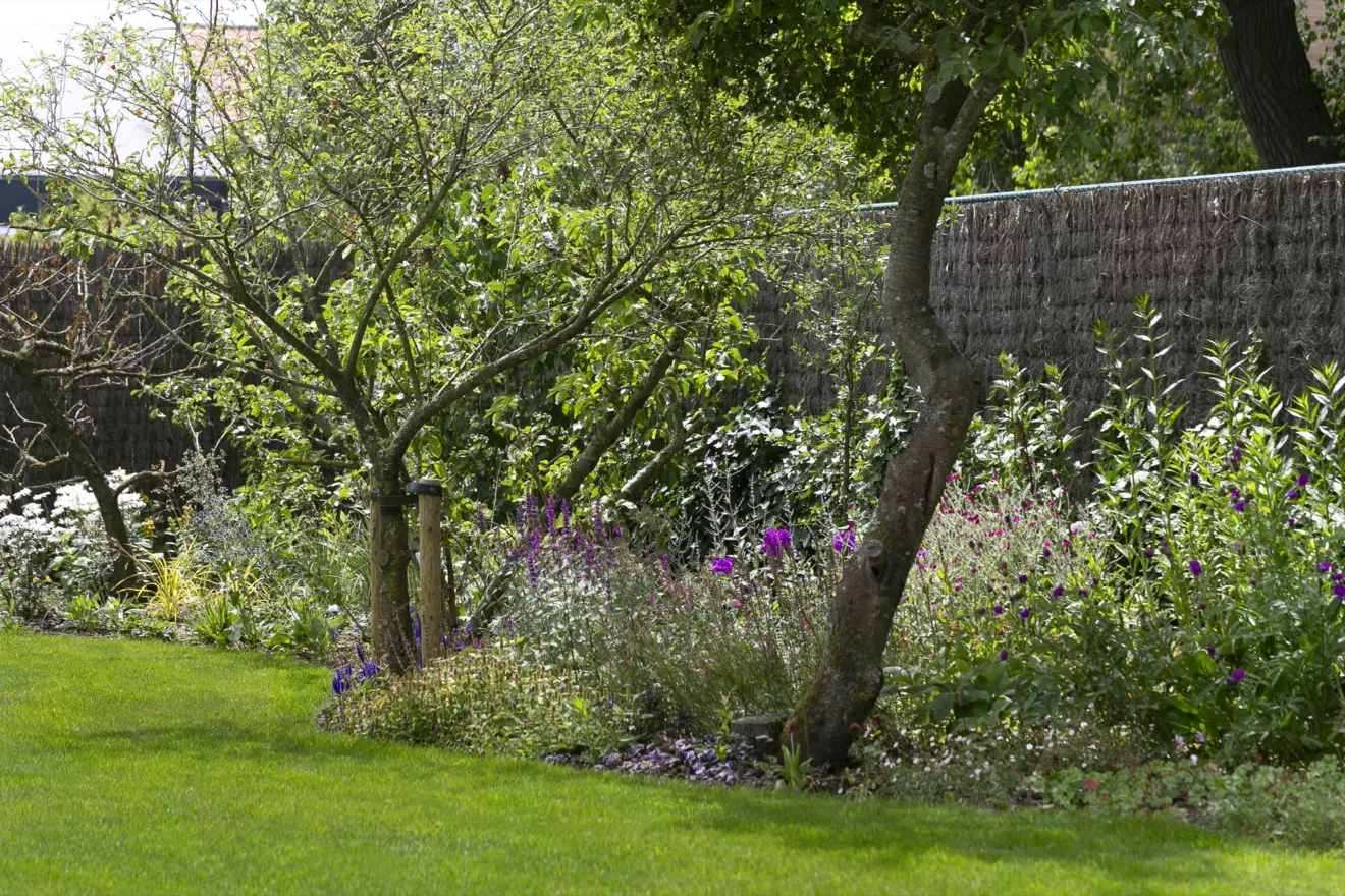 Villatuin te Oostduinkerke met oprit in porfier, uitgewassen beton en kleurrijke borders (8) -  - Tuinaanleg