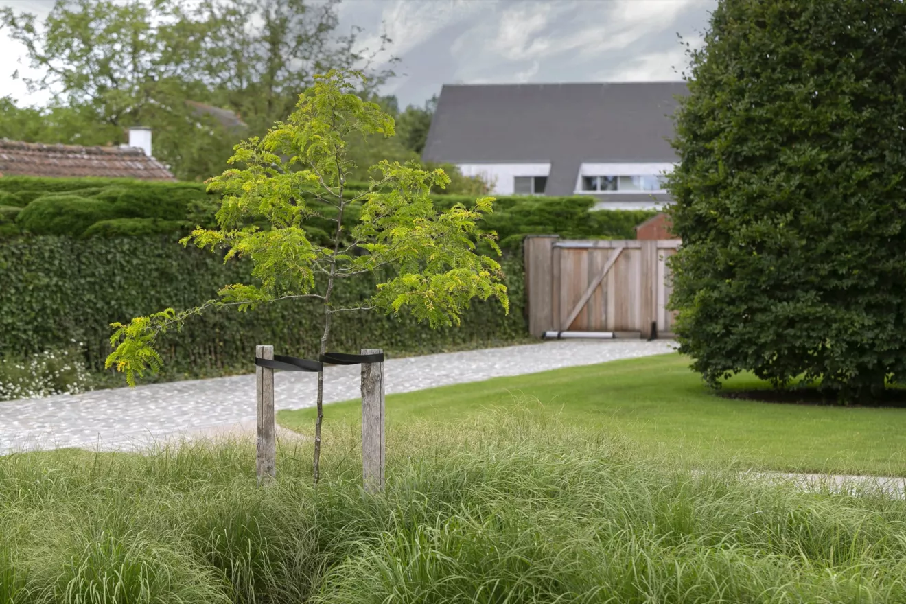 Villatuin te Oostduinkerke met oprit in porfier, uitgewassen beton en kleurrijke borders (7) -  - Tuinaanleg