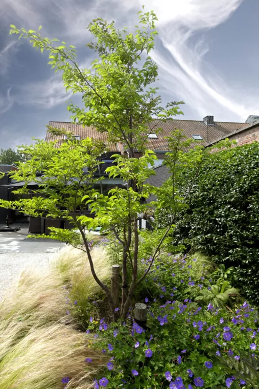 Speelse kusttuin met Dutchborder vol bloemenpracht en tuinberegening te Oostduinkerke (4) - 