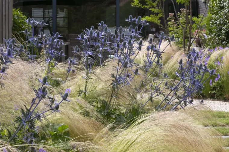 Speelse kusttuin met Dutchborder vol bloemenpracht en tuinberegening te Oostduinkerke (5) - 