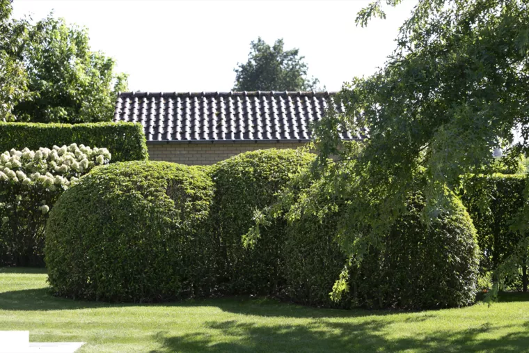 Landelijk gelegen tuin met elegante haagmassieven (37) - 