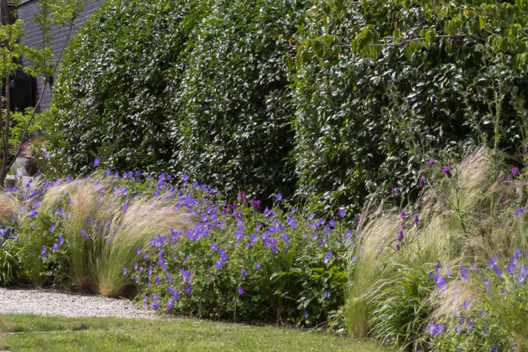 Speelse kusttuin met Dutchborder vol bloemenpracht en tuinberegening te Oostduinkerke (6) - 