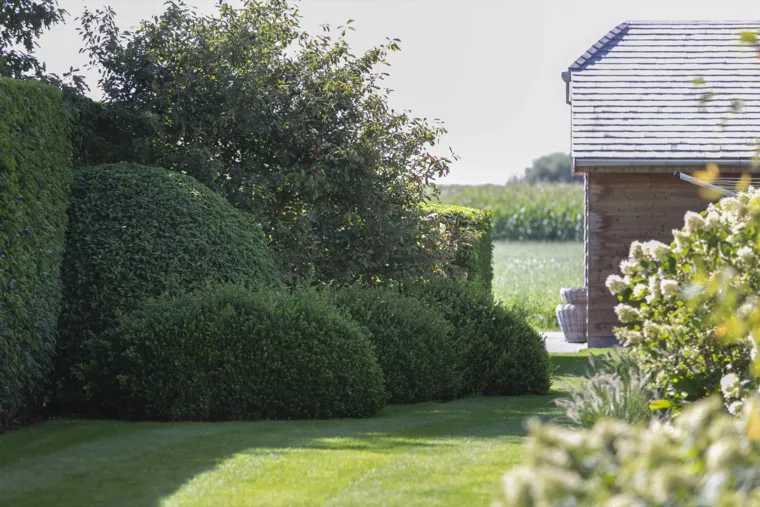Landelijk gelegen tuin met elegante haagmassieven (28) - 